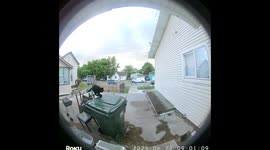 Cat Misjudges Jump, Thuds Against Front Door