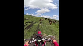 Man helps distressed horse stuck in muddy field in Grozny, Chechnya, Russia