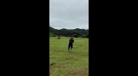 Man slips during stream crossing attempt in Yunnan, China