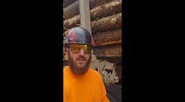 Puppy Helping Haul Logs