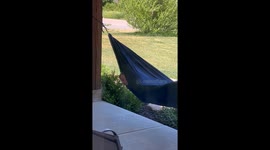 Sleeping Son Drools In Swinging Hammock
