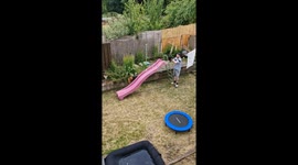 Dog Loves Playset Slide
