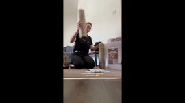 Kitten Won't Let Owner Build Scratching Post