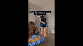 Dog Passes Loyalty Test