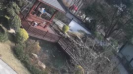 Groundsman falls into pond while saving drowning hen