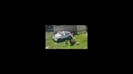 Go cart and Chickens