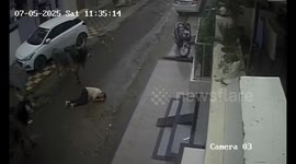 Man left injured after stray bull flips him over in unexpected attack in India