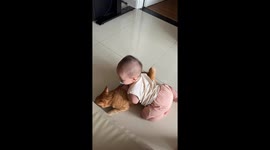 Warm moment when 6 month old baby hugs and cuddles super adorable Cat