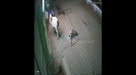 Woman seriously injured in stray bull attack in northern India