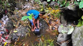 Search for ornamental fish in an unused river