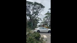 Taiwan: Typhoon Danas Batters Southern Region, Leaving Widespread Damage 2
