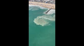 Lifeguards make 350 rescues on Newport Beach in a single day