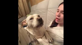 Syoma the singing pup channels Whitney Houston in viral 11 million view video