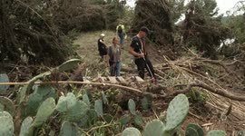 US: Search, rescue efforts persist into 4th day as dozens remain missing in Texas floods