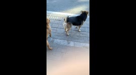 When You Know You Have Fine Butt