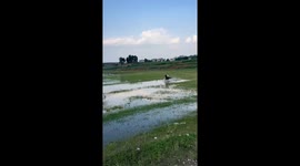 Man and Horse Tumble