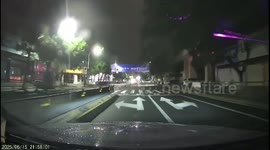 Driver Stops for Cat Crossing