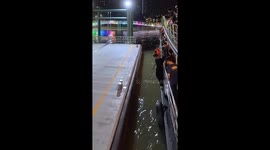Ferry crew member plunges into water moments before sailing out