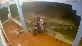 Rider attempts to park scooter on porch but ends up falling to the ground