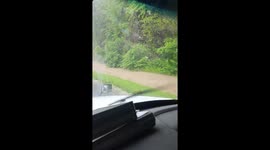 I-40 Flood