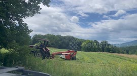 Farmer in field