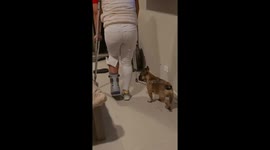 Mando the empathic Frenchie mimics mom’s injury, melts hearts on TikTok