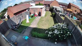 Granddad Bested By Garden Hammock