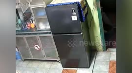 Stray cat caught on CCTV opening fridge door then walking away