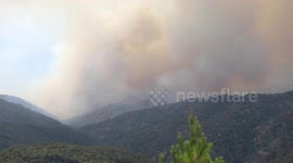 Syria: Several suspects detained in connection with Syria wildfires