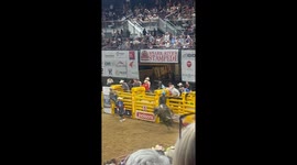 Idaho Bullfighter Gets Higher Score Than Bull Rider