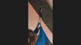 Dog Suspended From Roof Rafter For Nail Trim