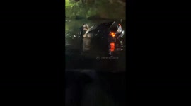 Milford Police Rescue Driver After Vehicle Plunges Into Pond