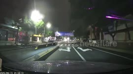 Eagle-eyed driver stops at zebra crossing for cat to cross