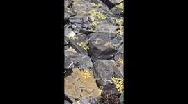 Crystal Clear Water Pond