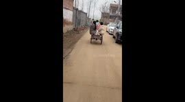 The Tricycle Swerves and Overturns