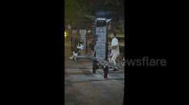 Dog and Owner teeter-tot together on seesaw.