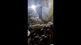 Rescue team smashes concrete to capture 18ft python near convenience store