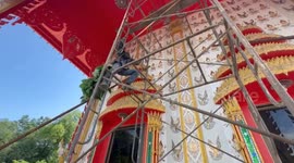 Expert honey hunter removes giant bee hive on temple ceiling