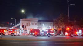 US, Los Angeles: Palms Fire at The Museum of Jurassic Technology