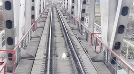 Hare Outruns Train on the Tracks