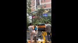 Uprooted tree blocks road after falling during storm in China
