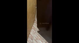 Bathroom door has a semi-circle cut out to avoid hitting toilet