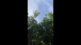 Tourist drags guide into lagoon while playing on rope swing