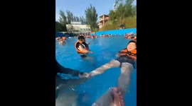 Fun Time in Swimming Pool