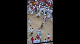 Man knocked unconscious by raging bull during Pamplona's bull run