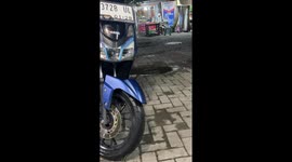 Cat silently watches rat before startling it in Serang, Indonesia