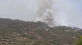 Syria: Syria’s Latakia battles week-long wildfires as 10,000 hectares of forests burned