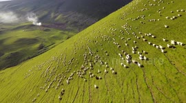 Stunning FPV drone flight over Gudauri highlands in Georgia