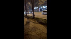 Wild boar narrowly escapes traffic while crossing road in Gdańsk, Poland