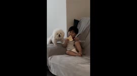 Toddler and puppy share chip from both ends in Seoul, South Korea